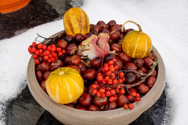 10 Best Winter Time Fruits You Should Eat to Stay Healthy winter time fruits