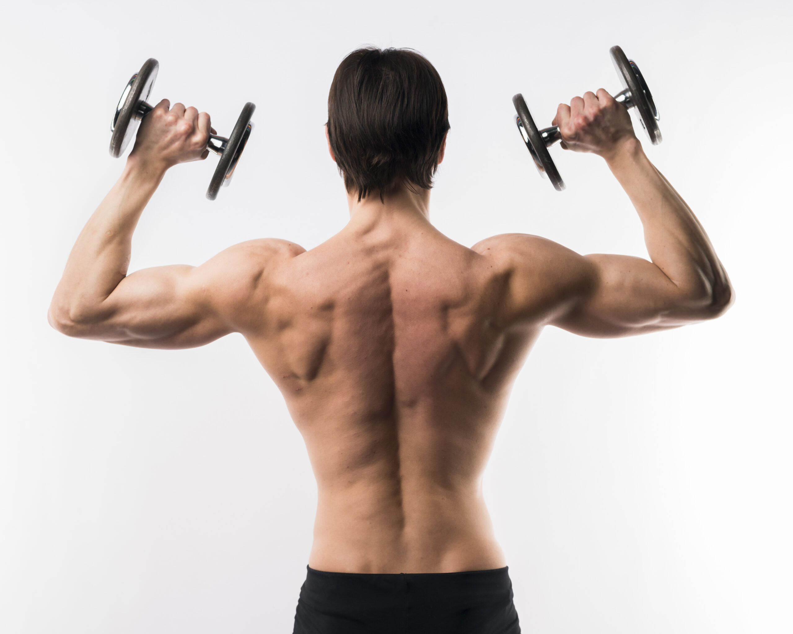 Back Workout